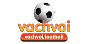 Logo vachvoiTV