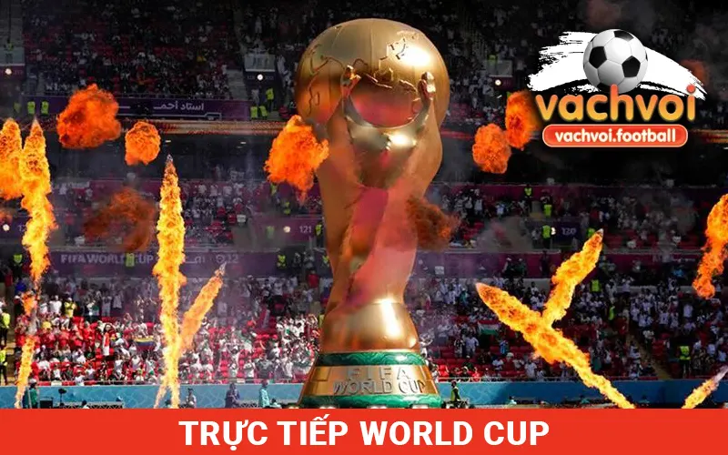 World Cup 2026 cũng sẽ được truyền hình liên tục tại VachVoi TV
